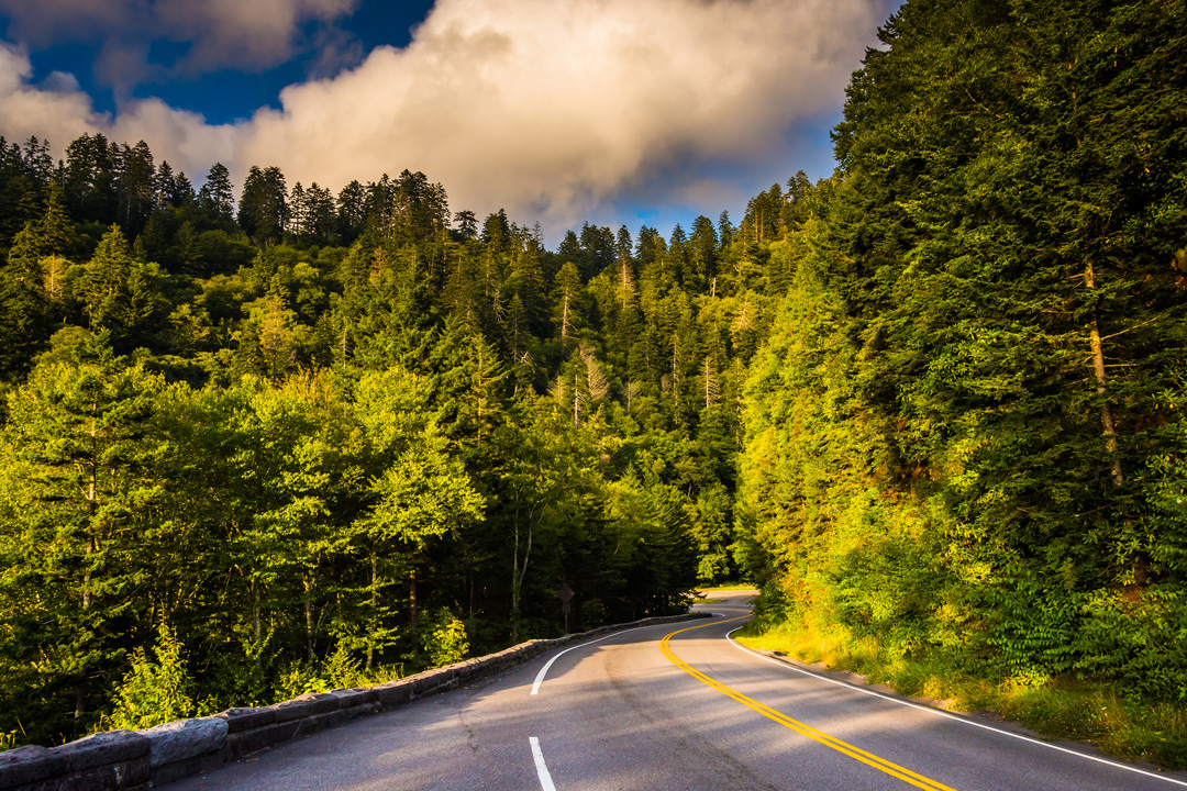 Photo of Newfound Gap Road with trees and blue skies